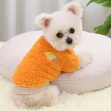 Autumn and winter warm two-legged dog pet supplies Cat clothes Small big dog Teddy New Year costume