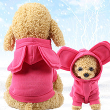 Autumn and winter fleece hoodie pocket two-legged sports wind pet dog cat clothes wholesale outdoor manufacturers