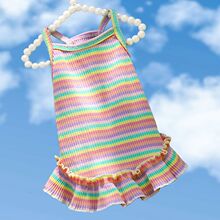 Rainbow striped slip dress Elastic knit small Big Dog cat pet spring and summer clothing supplies