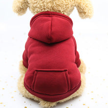 Autumn and winter hoodie denim pocket two-legged clothing Sports style pet clothing Dog cat pet clothing supplies