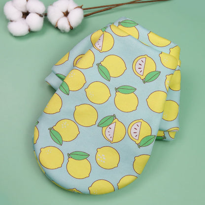 Printed cartoon pet clothes plus fleece two-legged hoodie Spring and winter pullover dog cat Teddy supplies clothes