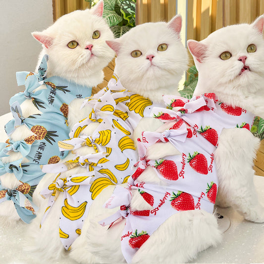 Post-operative medication, weaning, panty, cat clothing