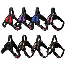 Pet leash outdoor dog chest strap walk cat walk dog explosion-proof flush large dog supplies manufacturers wholesale