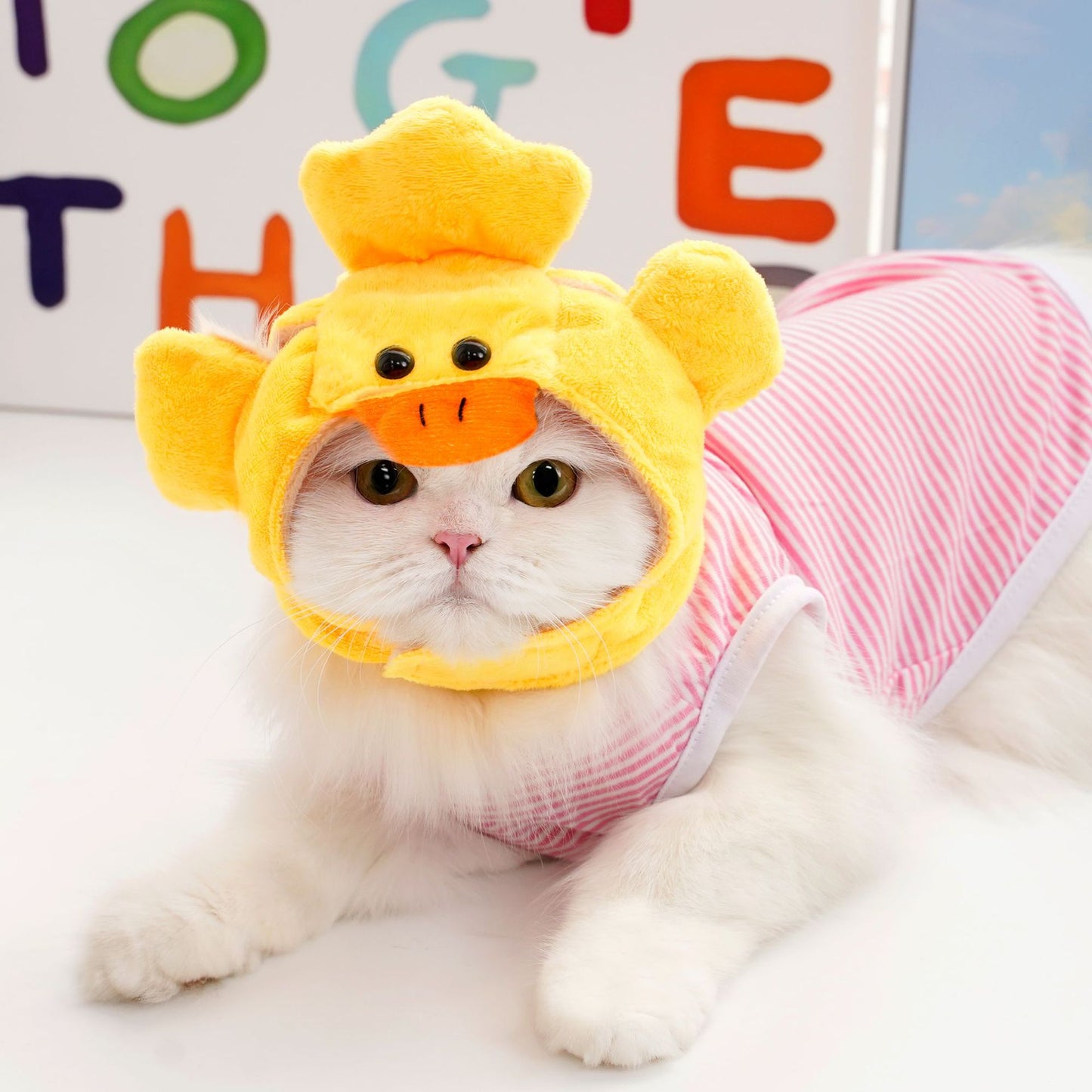 Sunflower Banana dog Cat headwear hat
