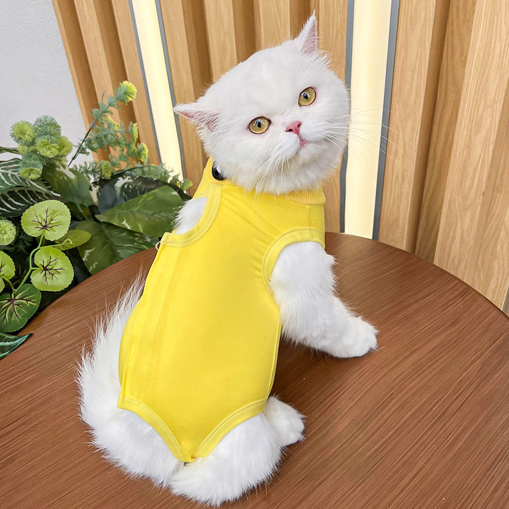 Cat spaying post-operative clothing