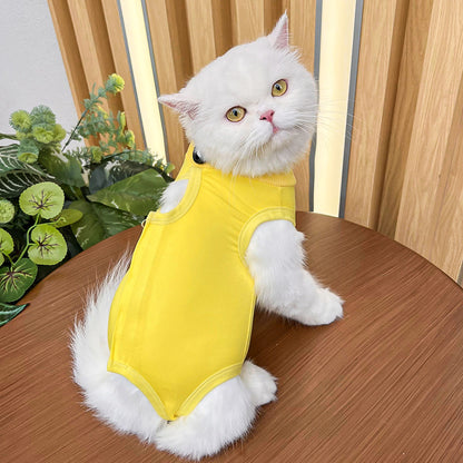 Cat spaying post-operative clothing
