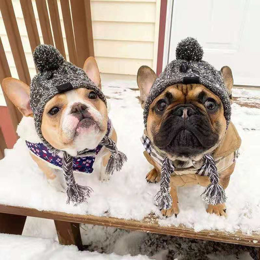 Cute fashion wool dog cat hat