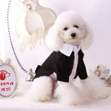 Spring/summer break two tuxedos Dog clothes Pet Gentleman suit dress