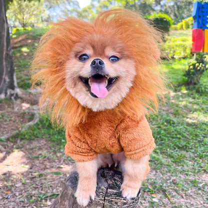 Autumn and winter four-legged flannel warm dog cat pet Teddy lion into clothes