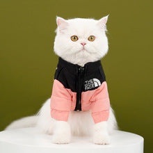 Pet dog cat clothes autumn winter warm cotton-padded coat down jacket Teddy small and medium-sized dog manufacturers wholesale supplies