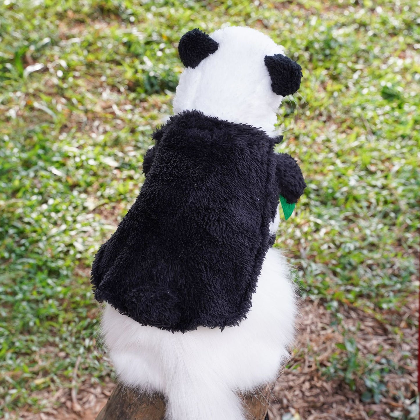 Transform into a panda costume
