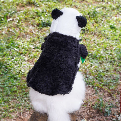 Transform into a panda costume