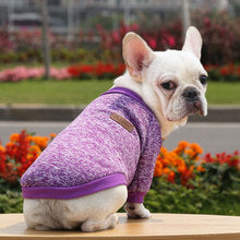 Dog cat pet clothes Autumn and winter hoodie two legs clothing supplies wool small medium-sized dog