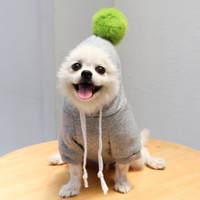 With ball cartoon hoodie dog cat pet teddy autumn and winter clothing supplies wholesale