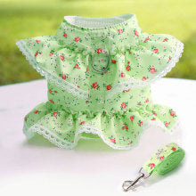 Dog cat pet clothing Chest strap leash Lace lace Teddy Bichon Spring summer fall dog leash supplies