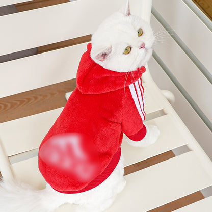 Pet clothing Flannel two feet fashion brand hoodie word bitch dog cat small medium and large dog supplies