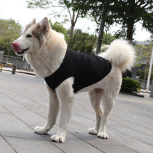 Golden Samor Labrador Clothing vest Dog Cat Clothing Small Large dog Pet supplies Cotton teddy