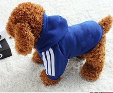 Manufacturers wholesale large and small dogs golden fur Samo husky edge grazing cat autumn and winter clothing pet supplies clothing