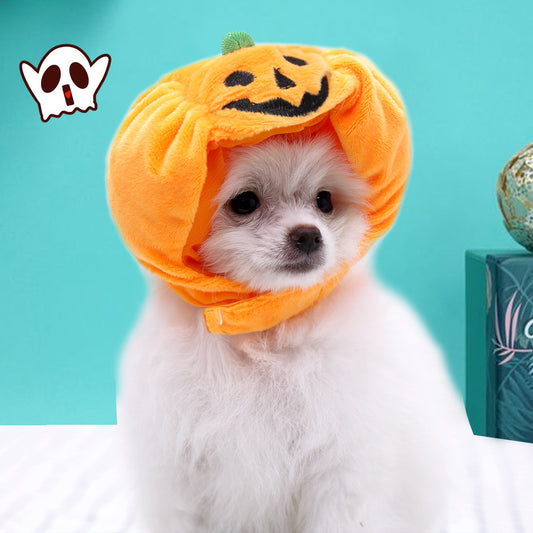 The new cute pet hat transforms into a cute Korean headdress