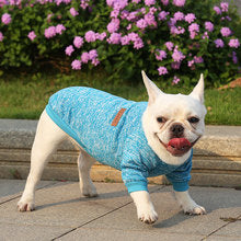 Dog cat pet clothes Autumn and winter hoodie two legs clothing supplies wool small medium-sized dog