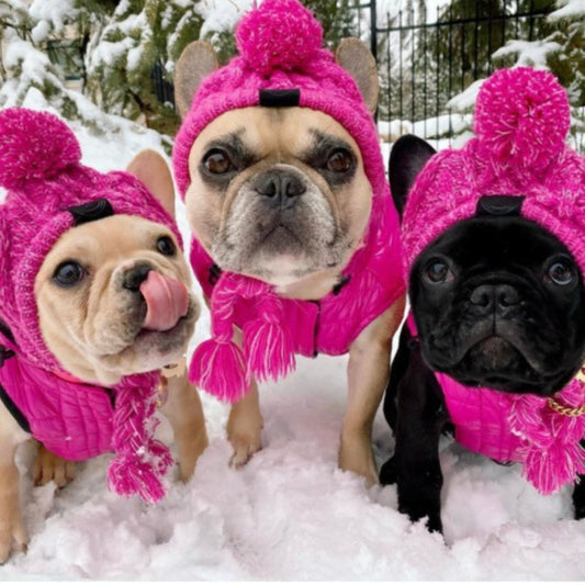 Warm soft cotton wool small medium-sized dog dog cat hat and headgear