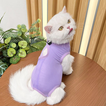 Cat spaying post-operative clothing