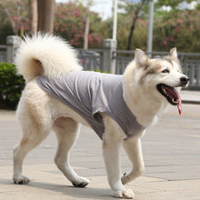 Golden Samor Labrador Clothing vest Dog Cat Clothing Small Large dog Pet supplies Cotton teddy