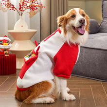 Pet New Year autumn and winter cold warm big dog Big dog dog cat clothing wholesale