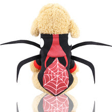 Halloween spider beetle transformed into dog clothes cat pet autumn winter small medium-sized dog supplies