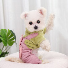 Autumn and winter Teddy small medium-sized dog dog than bear pet cat thick warm four-legged clothing supplies