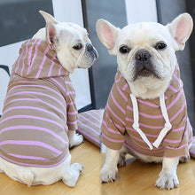 Pet dog cat Hoodie Striped clothing supplies spring and summer