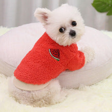 Autumn and winter warm two-legged dog pet supplies Cat clothes Small big dog Teddy New Year costume