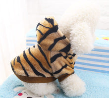 Autumn and winter new flannel into button tiger into pet dog cat clothes autumn and winter supplies