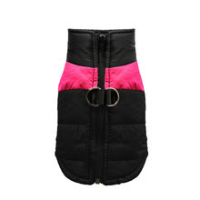 Autumn and winter thickened warm cotton vest pet cat dog teddy dog clothing supplies wholesale