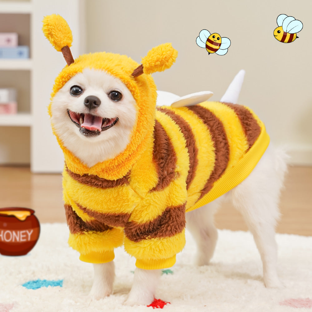 Pet clothing transforms into warm winter and autumn dog and cat outfits