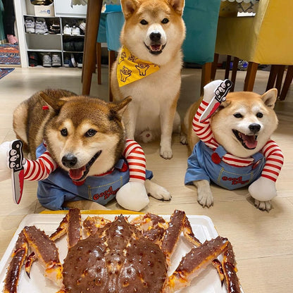 Halloween pequeño perro mediano transformado en ropa para mascotas