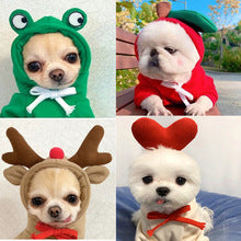 Turn dog cat small medium-sized dog autumn and winter hoodie fleece clothing manufacturers direct sales